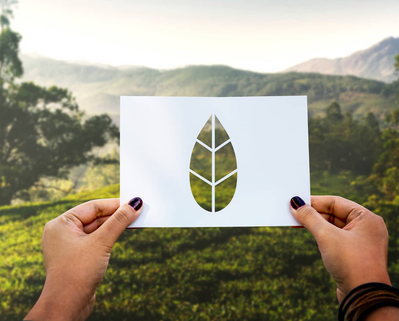 licenciamento ambiental em santa catarina